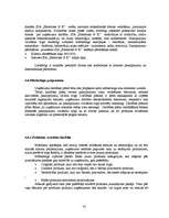 Referāts 'Jaunu pakalpojumu virzīšana tirgū', 41.