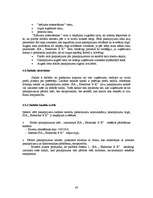 Referāts 'Jaunu pakalpojumu virzīšana tirgū', 43.