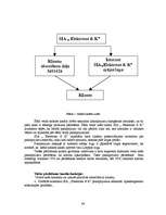 Referāts 'Jaunu pakalpojumu virzīšana tirgū', 44.