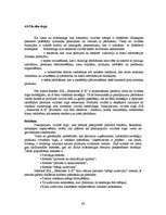 Referāts 'Jaunu pakalpojumu virzīšana tirgū', 46.