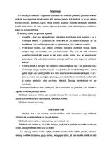 Eseja 'Mans mācīšanās stils', 2.