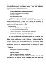 Eseja 'Mans mācīšanās stils', 4.