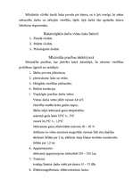 Referāts 'Datora lietošanas ergonomika', 3.