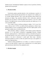 Referāts 'E-paraksts', 4.