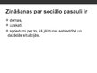 Prezentācija 'Zināšanas par sevi un citiem', 3.