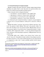 Referāts 'Bezpajumtniecības problēma Latvijā Eiropas Savienības sociālās politikas konteks', 15.