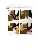 Referāts 'Viesmīļa rokasgrāmata', 30.