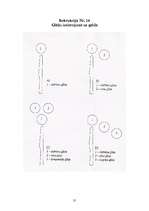 Referāts 'Viesmīļa rokasgrāmata', 31.