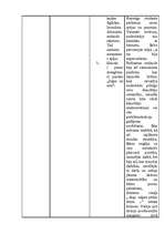 Prakses atskaite 'Pedagoģiski psiholoģiskā vērojumu prakse pirmsskolā "Annele"', 13.
