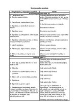 Prakses atskaite 'Sižetiskās sporta stundas plāns', 2.