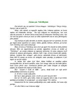 Prakses atskaite 'Sižetiskās sporta stundas plāns', 4.