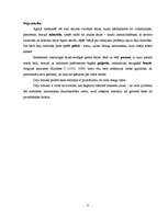 Referāts 'Renesanses laika mūzika', 8.