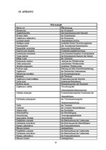 Referāts 'Analyse Eines Businessplans auf Wort, Satz und Textbene', 19.