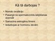Prezentācija 'Hormonālā kontracepcija', 3.
