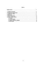 Biznesa plāns 'Biznesa plāns', 2.