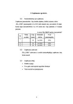 Biznesa plāns 'Biznesa plāns', 4.