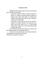 Biznesa plāns 'Biznesa plāns', 8.