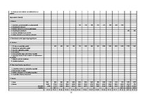 Biznesa plāns 'Biznesa plāns', 15.