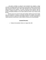 Eseja 'Vai valsts ir nepieciešama?', 2.