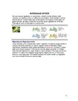 Konspekts 'Pūces', 6.