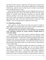 Referāts 'Uzņēmuma SIA "Kolle beton" cenu izmaiņas dinamika', 8.