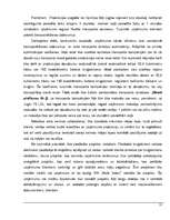 Referāts 'Uzņēmuma SIA "Kolle beton" cenu izmaiņas dinamika', 14.