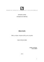 Referāts 'Bēniņu telpas interjera plānojuma projekts', 1.