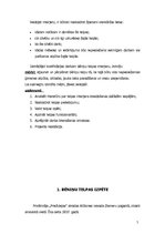 Referāts 'Bēniņu telpas interjera plānojuma projekts', 5.