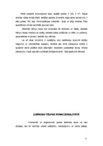 Referāts 'Bēniņu telpas interjera plānojuma projekts', 6.