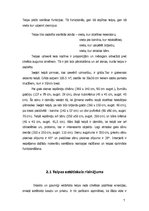 Referāts 'Bēniņu telpas interjera plānojuma projekts', 7.