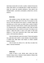 Referāts 'Bēniņu telpas interjera plānojuma projekts', 8.