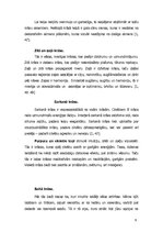 Referāts 'Bēniņu telpas interjera plānojuma projekts', 9.