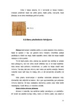 Referāts 'Bēniņu telpas interjera plānojuma projekts', 13.