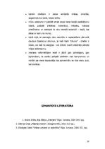 Referāts 'Bēniņu telpas interjera plānojuma projekts', 20.