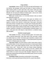 Referāts 'Dinamiskie procesi mazajās grupās jeb grupu attīstības fāzes', 2.