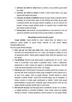 Referāts 'Dinamiskie procesi mazajās grupās jeb grupu attīstības fāzes', 7.