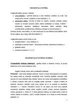 Konspekts 'Uroģenitālās sistēmas slimības', 2.