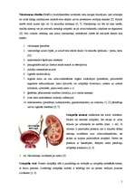 Konspekts 'Uroģenitālās sistēmas slimības', 5.