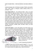 Konspekts 'Uroģenitālās sistēmas slimības', 7.