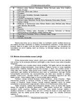 Referāts 'LR ārējā ekonomiskā politika', 19.