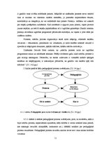 Diplomdarbs 'Pirmsskolas izglītības iestādes metodiskā darba vadība un tās pilnveidošanas ies', 51.