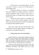 Referāts 'Muitas kontroles pasākumu analīze muitas kontrolpunktā', 17.