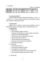 Biznesa plāns 'Atpūtas komplekss "Sonnes"', 7.