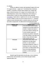 Biznesa plāns 'Atpūtas komplekss "Sonnes"', 25.