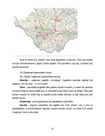 Biznesa plāns 'Atpūtas komplekss "Sonnes"', 29.