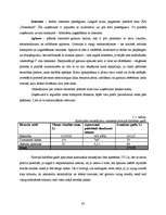 Biznesa plāns 'Atpūtas komplekss "Sonnes"', 30.