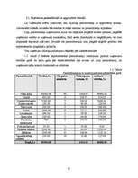 Biznesa plāns 'Atpūtas komplekss "Sonnes"', 31.