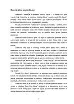 Biznesa plāns 'Sporta bāzes biznesa plāns', 4.