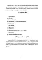 Biznesa plāns 'Sporta bāzes biznesa plāns', 8.