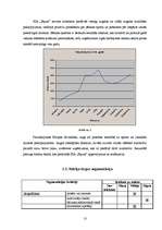 Biznesa plāns 'Sporta bāzes biznesa plāns', 13.